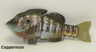 Hardgill Coppernose