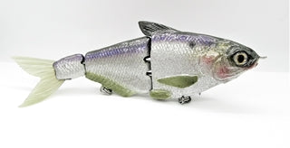 6" Strong Purple Gizzard Shad