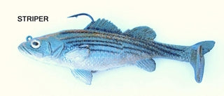 T.S. Striper