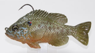 U2 Pumpkinseed Boot Tail