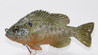 U2 Pumpkinseed Floating Flat Tail