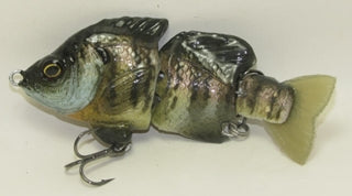 Baby Hardgill Spring Male