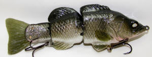 SB Walleye