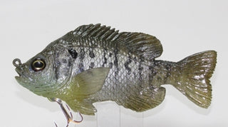U2 Female Bluegill Floating Flat Tail