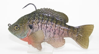 Ultimate Male Bluegill Flat Tail