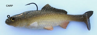 T.S. Carp