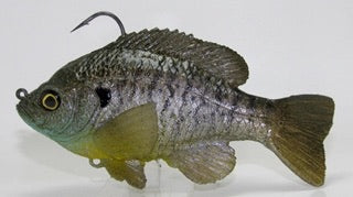 Ultimate Female Bluegill Flat Tail