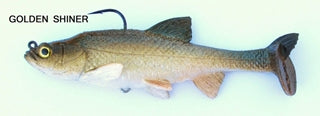 T.S. Golden Shiner