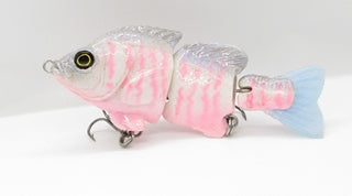 Baby Hardgill Cotton Candy