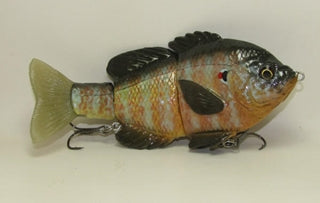 Magnum Hardgill Pumpkinseed