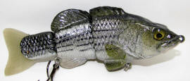 SB White Bass Medium