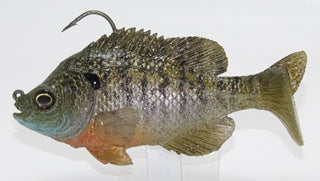 U2 Male Bluegill Boot Tail