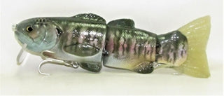 Meat Head Coppernose