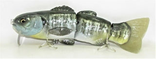 Meat Head Female Gill