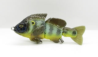 Baby Hardgill Green Sunfish