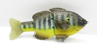 Magnum Hardgill Green Sunfish