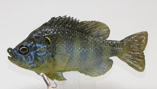 Sunfish Float U2 Green Sunfish Floating Flat Tail – MattLures