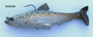 T.S. Sardine