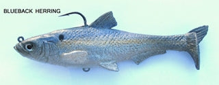 T.S. BlueBack Herring